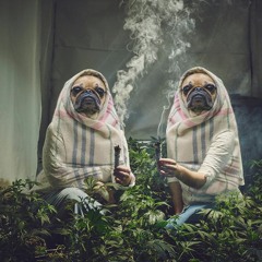 Chilling
