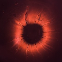 RED EYES (ft. Felicity Hamilton)