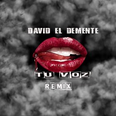 (David El Demente)Tu Voz Remix)