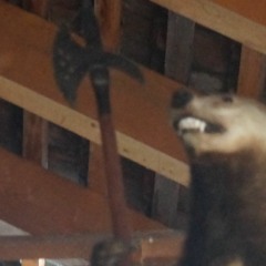 Dreamquest on a prancing Black horse in the realm of Rarn.