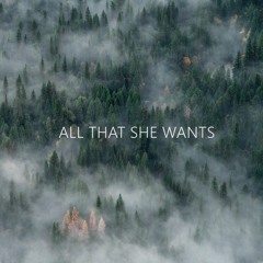 Ella On The Run - All That She Wants (Shoby Remix)