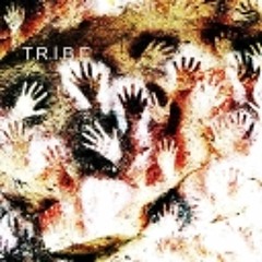 TRIBED OUT