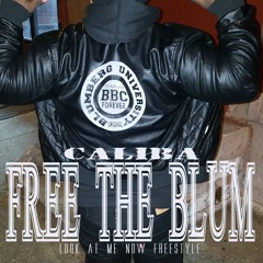 FREE THE BLUM(LOOK AT ME NOW FREESTLYE)