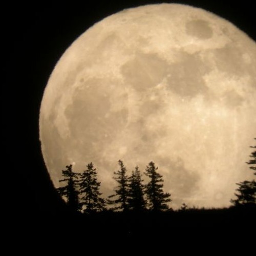 Moon Matrix - oberheim matrix 1000 strings at 432hz