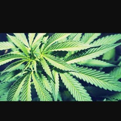 Chill Slow Rap Type Beat