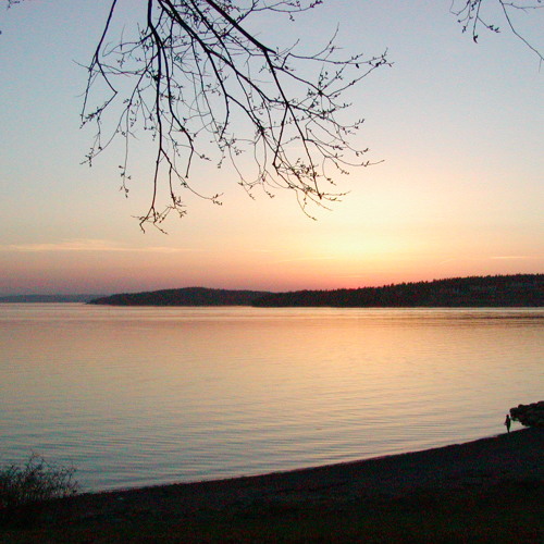 Summer Heat With A Breeze