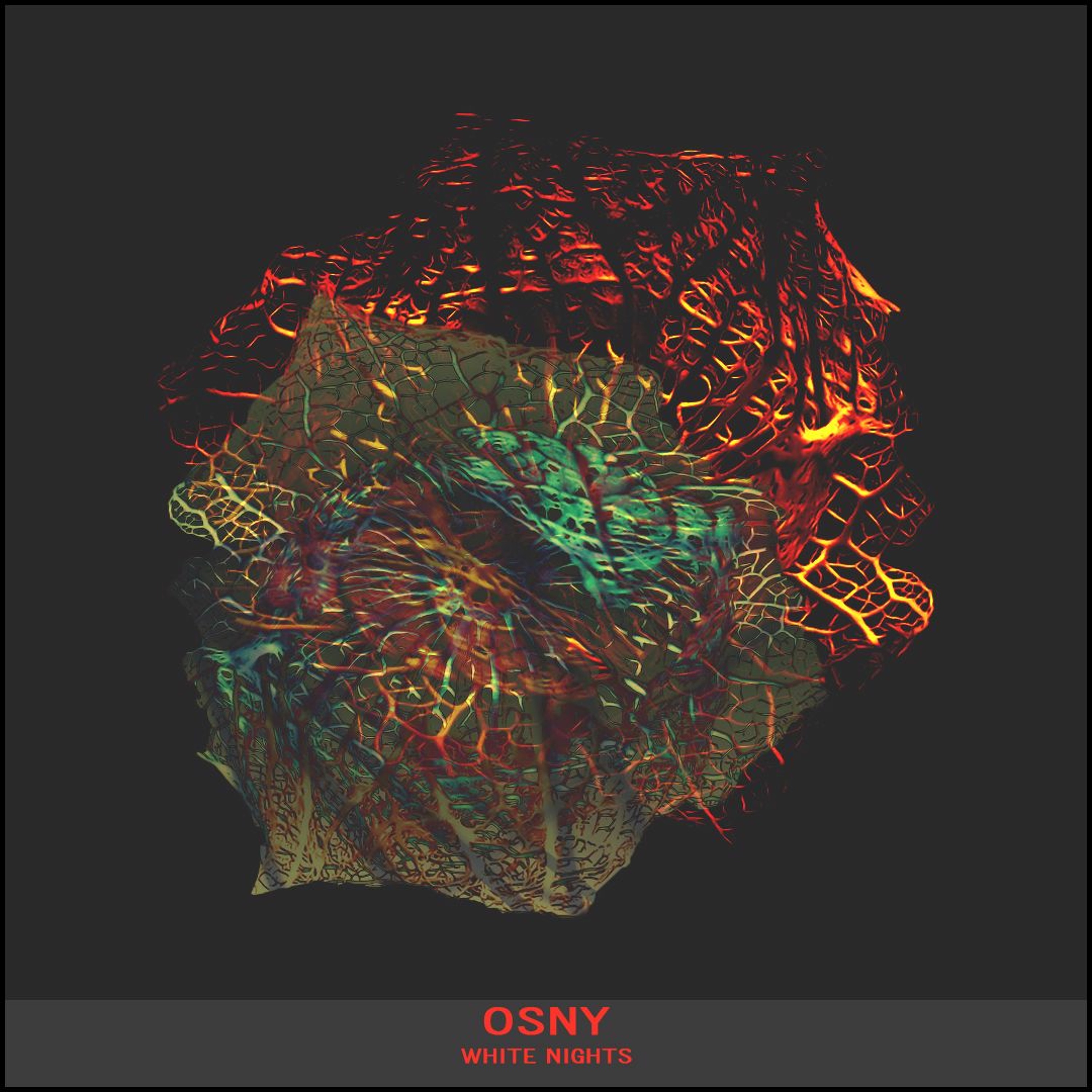 OSNY