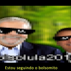 Estou seguindo o bolsomito