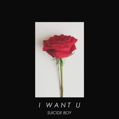 Suicide Boy - I Want U