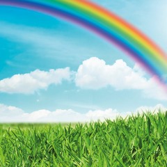 Dr.Dolle - Regenbogen