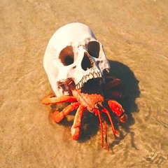 10000 yards of barbed wire