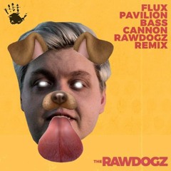 Flux Pavilion - Bass Cannon (The Rawdogz Remix)