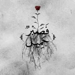 الصبر - دكتور النابلسى 🌸