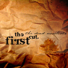 Comfortably Numb (acoustic ending)