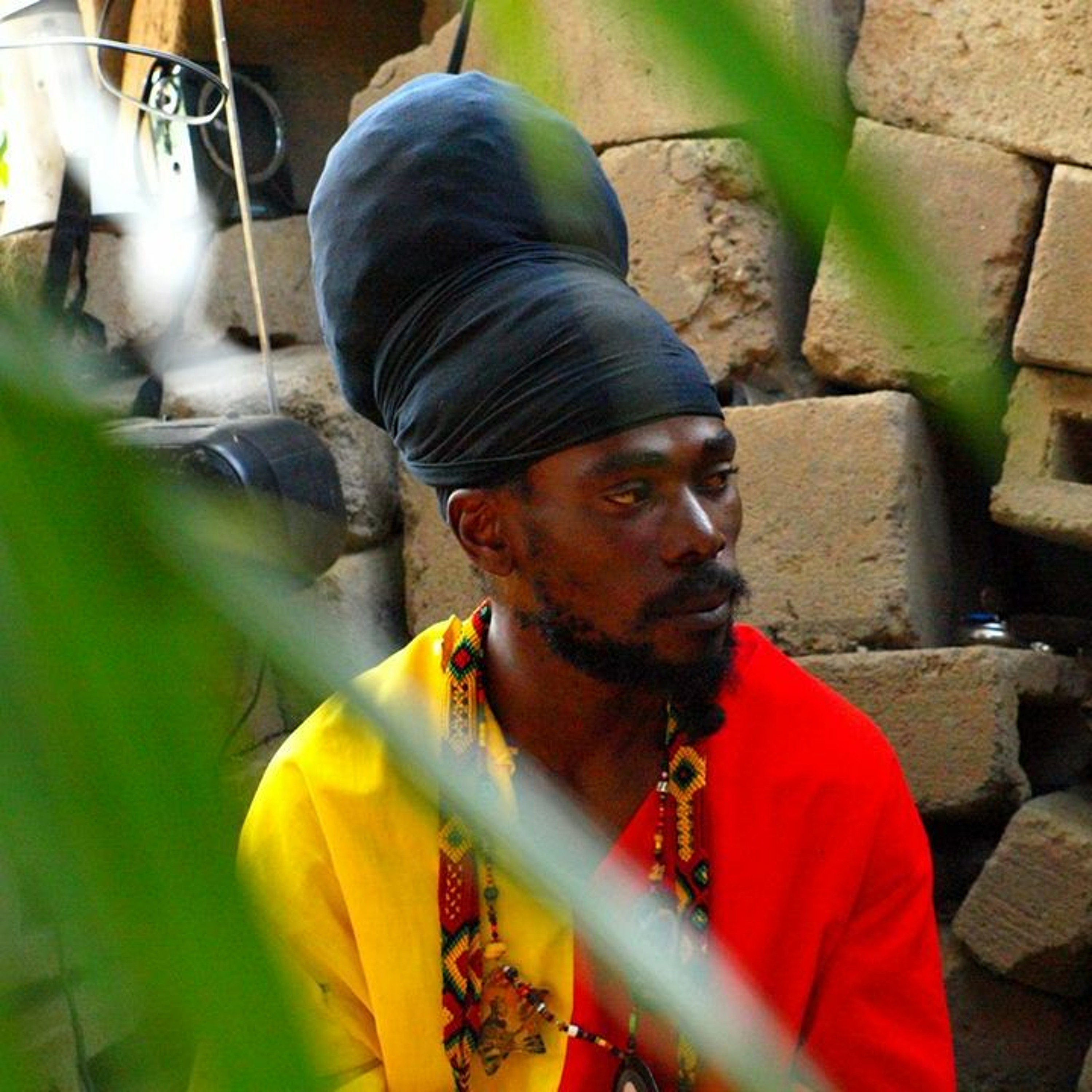 Universal Roots place