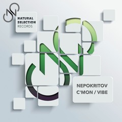 Nepokritov - Vibe (Preview)[OUT NOW]