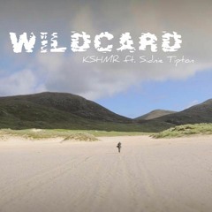KSHMR - Wildcard ft. Sidnie Tipton(SoliqinMix)