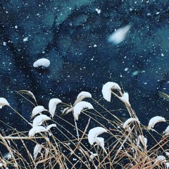 Gallery Six - Cast anchor (Out 17.3.2017)