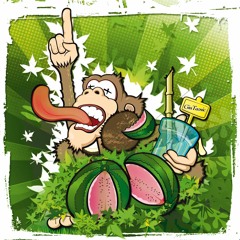 La Loakaii - FunkyJazzyHoppy - 100% vinyl mix