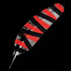 Affection // Cigarettes After Sex (Cover)