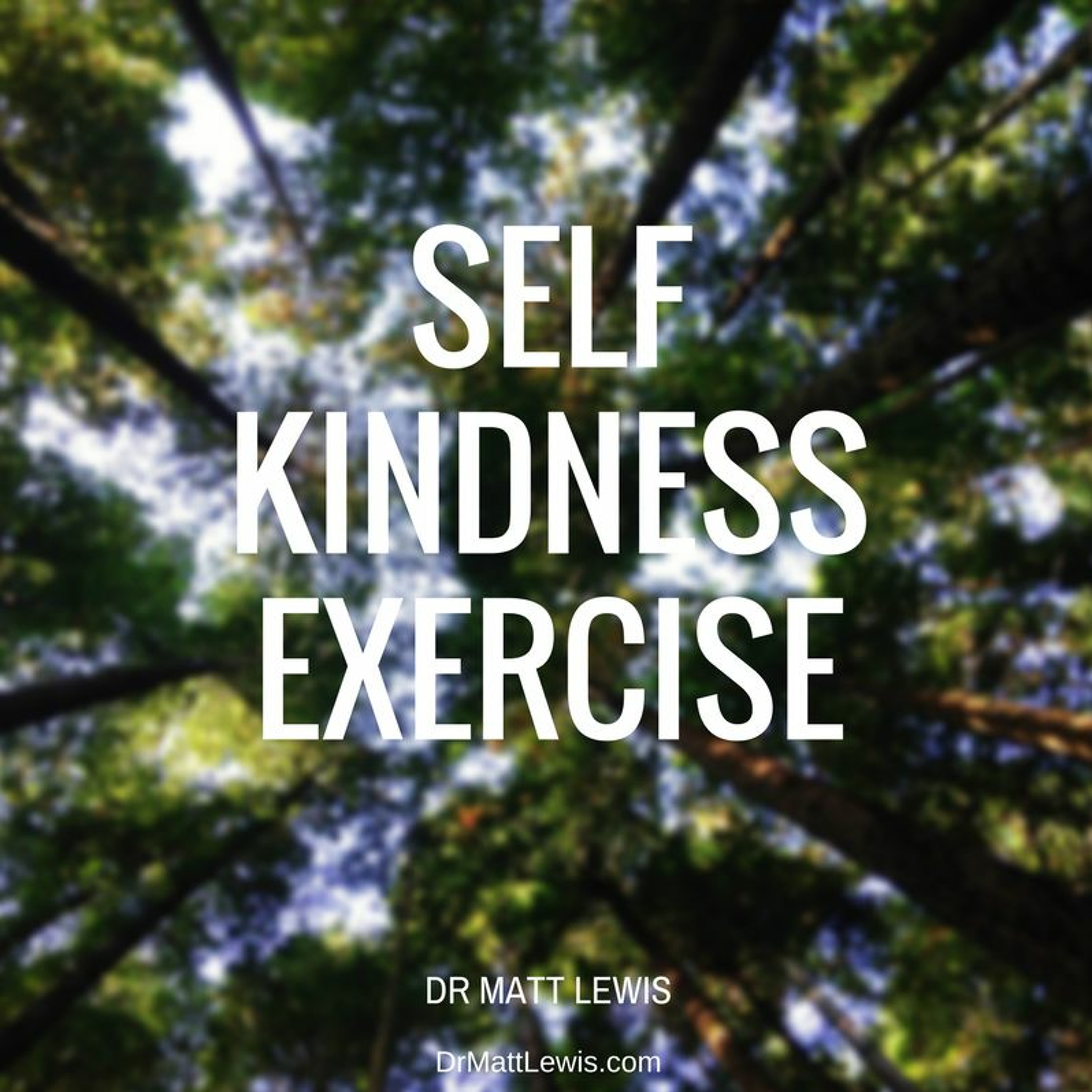 Self Kindness Exercise episode artwork