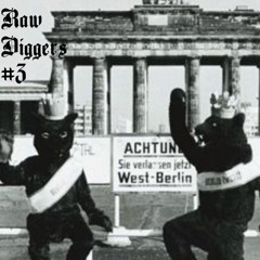 Raw Diggers #3