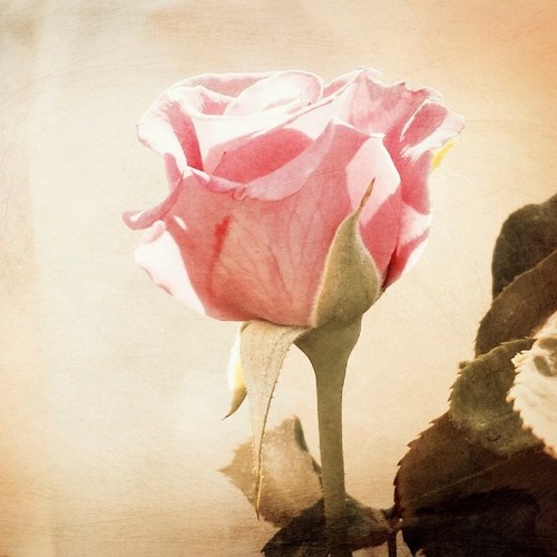 Baby Don't You Cry (feat. Arrangement by John Baker) - The Mother's Day Song