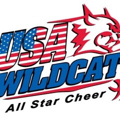 USA Wildcats Elite 16 - 17