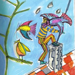 Rollin Acoustica  Honky Tonk