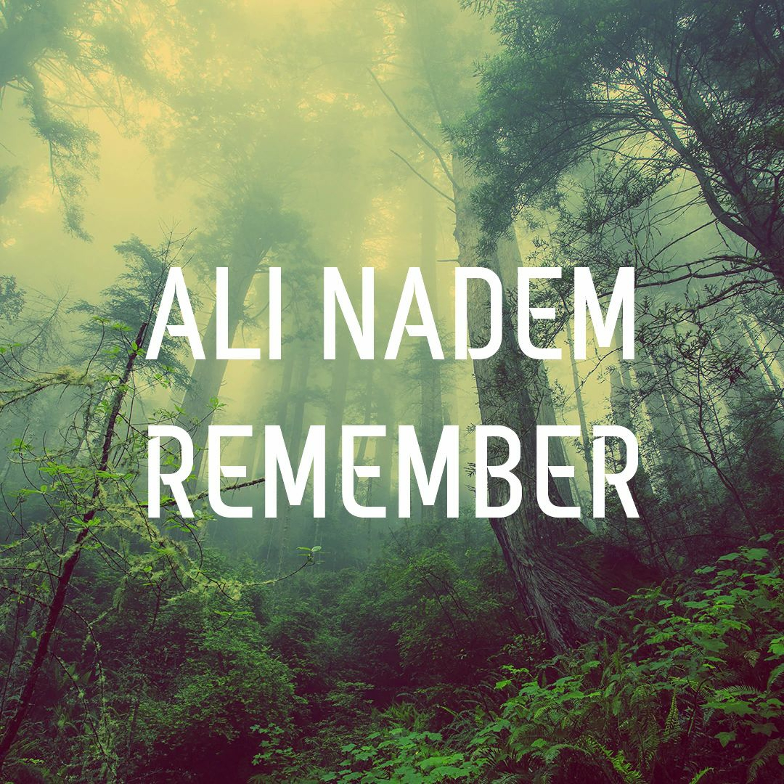 Ali Nadem