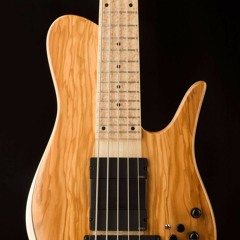 Richard Bona Signature Imperial - Both Pickups