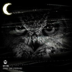 Strange Thing x Pigeon Hole -  Nite Owl