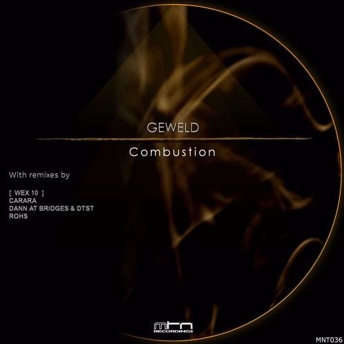 Geweld - Serious Error [Monotoon Records]