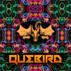 Quebird - LT4