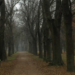 Searching for Firm Ground