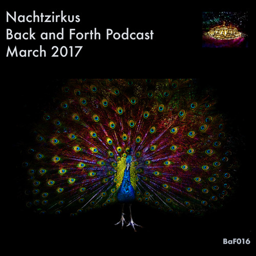 Nachtzirkus - Back And Forth March 2017