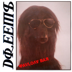 Pavlova Bar (Part 1) 05.03.17