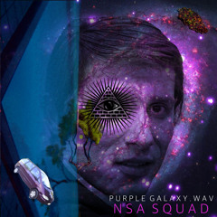 p u r p l e  g a l a x y . w a v