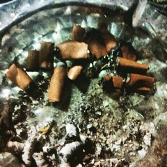 Ashtray Full of Dutchy Duks