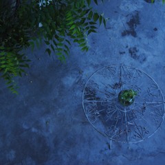 Cual es tu color favorito