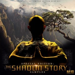 The Shaolin Story Samples DEMO 1 (Produced by !llmind)