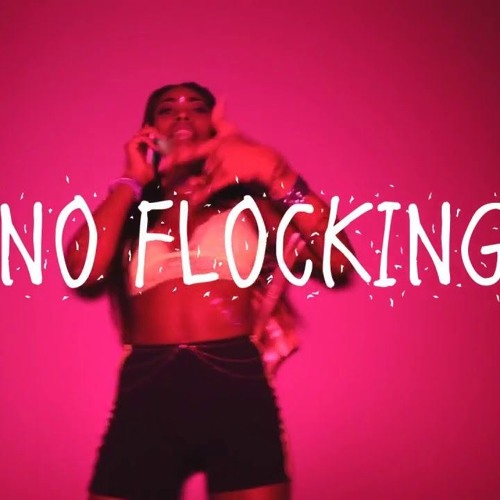 No Flockin (Freestyle)