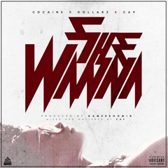 She Wanna Cocaine x Dollars x Cap