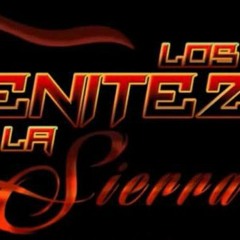LOS BENITEZ DE LA SIERRA REMIX DJ SILVA REMIX