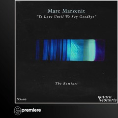 Premiere: Marc Marzenit - Melancholy Street (Several Definitions Remix)(Natura Sonoris)