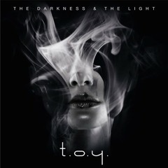T.O.Y. - The Darkness & The Light (Solitary Experiments Remix)