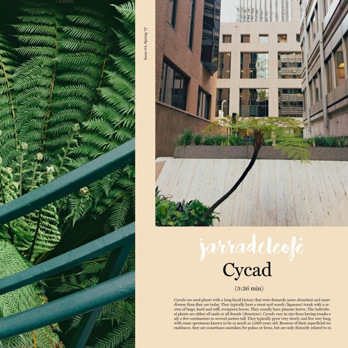 jarradcleofé - cycad (thanks for 1k ✌️😊)