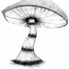 Alice In Wonderland @BasqueCulinaryCenter: San Sebastian  (vmonsh mix)