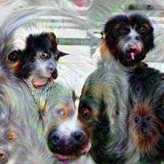 Owsley's Perspective