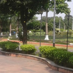 La Vie En Rose cover